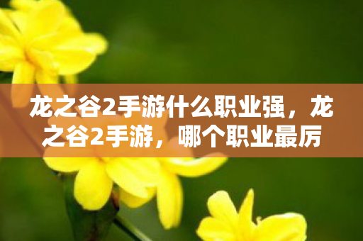 龙之谷2手游什么职业强,龙之谷2手游,哪个职业最厉害? 龙之谷2手游什么职业强,龙之谷2手游,哪个职业最厉害?