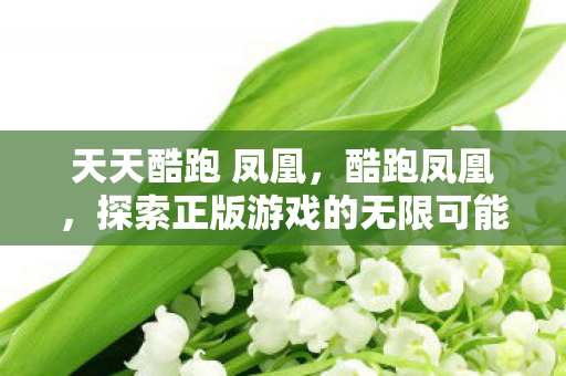 天天酷跑 凤凰，酷跑凤凰，探索正版游戏的无限可能