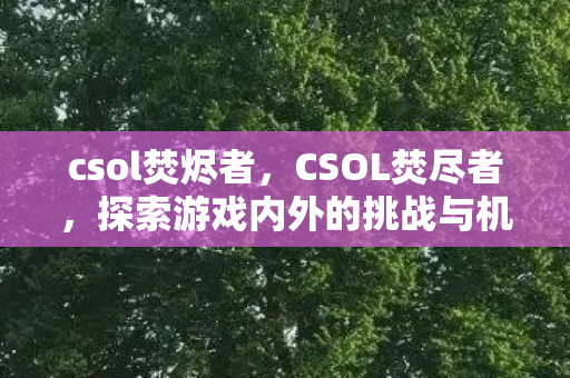 csol焚烬者,CSOL焚尽者,探索游戏内外的挑战与机遇 csol焚烬者,CSOL焚尽者,探索游戏内外的挑战与机遇