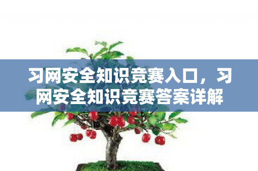习网安全知识竞赛入口,习网安全知识竞赛答案详解 习网安全知识竞赛入口,习网安全知识竞赛答案详解