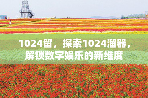 1024留,探索1024溜器,解锁数字娱乐的新维度 1024留,探索1024溜器,解锁数字娱乐的新维度