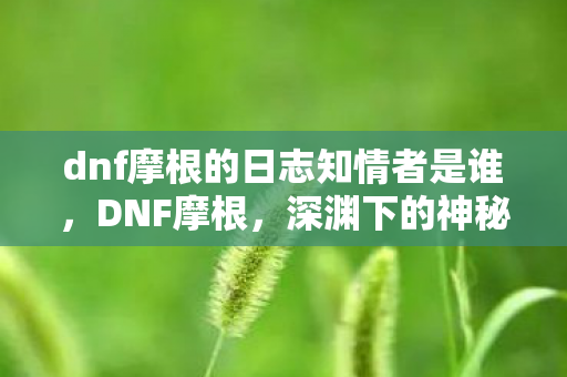 dnf摩根的日志知情者是谁，DNF摩根，深渊下的神秘存在