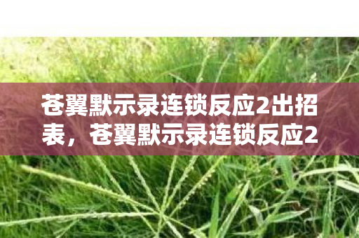 苍翼默示录连锁反应2出招表，苍翼默示录连锁反应2，深度解析游戏机制与策略