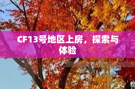 CF13号地区上房,探索与体验 CF13号地区上房,探索与体验