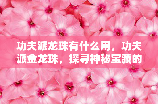 功夫派龙珠有什么用,功夫派金龙珠,探寻神秘宝藏的奇幻之旅 功夫派龙珠有什么用,功夫派金龙珠,探寻神秘宝藏的奇幻之旅