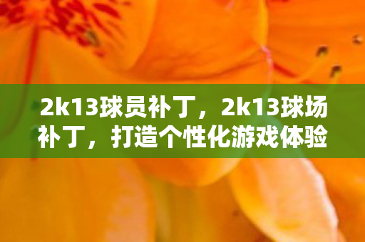 2k13球员补丁,2k13球场补丁,打造个性化游戏体验 2k13球员补丁,2k13球场补丁,打造个性化游戏体验