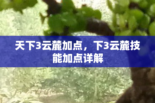 天下3云麓加点,下3云麓技能加点详解 天下3云麓加点,下3云麓技能加点详解