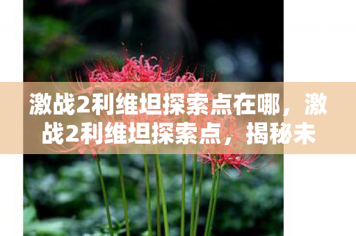 激战2利维坦探索点在哪，激战2利维坦探索点，揭秘未知世界的奇妙之旅
