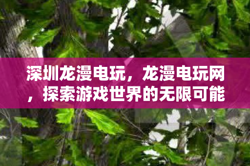 深圳龙漫电玩,龙漫电玩网,探索游戏世界的无限可能 深圳龙漫电玩,龙漫电玩网,探索游戏世界的无限可能