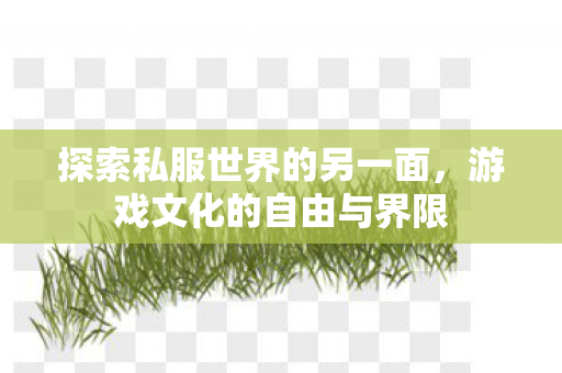 探索私服世界的另一面,游戏文化的自由与界限 探索私服世界的另一面,游戏文化的自由与界限