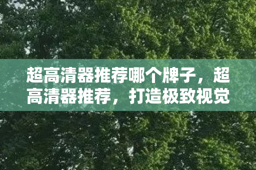 超高清器推荐哪个牌子,超高清器推荐,打造极致视觉盛宴的必备神器 超高清器推荐哪个牌子,超高清器推荐,打造极致视觉盛宴的必备神器