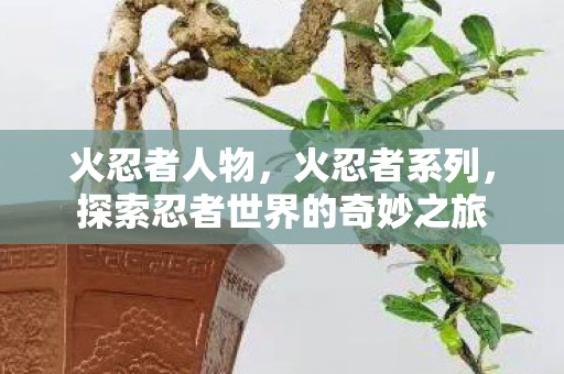 火忍者人物,火忍者系列,探索忍者世界的奇妙之旅 火忍者人物,火忍者系列,探索忍者世界的奇妙之旅