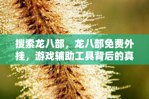 搜索龙八部,龙八部免费外挂,游戏辅助工具背后的真相 搜索龙八部,龙八部免费外挂,游戏辅助工具背后的真相