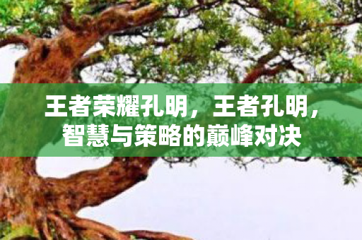 王者荣耀孔明,王者孔明,智慧与策略的巅峰对决 王者荣耀孔明,王者孔明,智慧与策略的巅峰对决