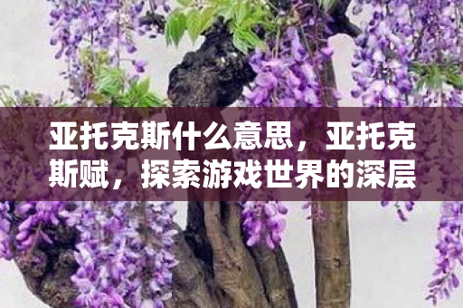 亚托克斯什么意思,亚托克斯赋,探索游戏世界的深层奥秘 亚托克斯什么意思,亚托克斯赋,探索游戏世界的深层奥秘