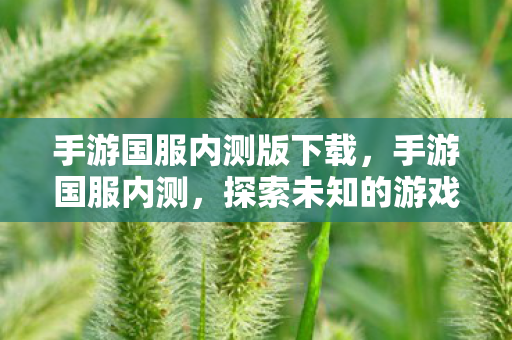 手游国服内测版下载,手游国服内测,探索未知的游戏世界 手游国服内测版下载,手游国服内测,探索未知的游戏世界