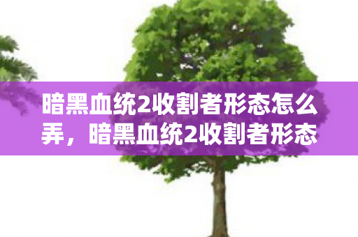 暗黑血统2收割者形态怎么弄,暗黑血统2收割者形态,掌握终极战斗技巧 暗黑血统2收割者形态怎么弄,暗黑血统2收割者形态,掌握终极战斗技巧