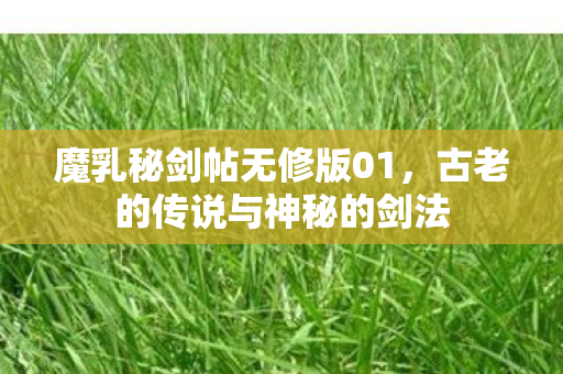 魔乳秘剑帖无修版01,古老的传说与神秘的剑法 魔乳秘剑帖无修版01,古老的传说与神秘的剑法
