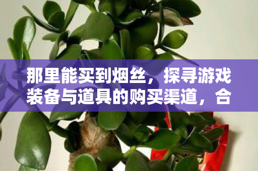 那里能买到烟丝,探寻游戏装备与道具的购买渠道,合法且实惠的购买指南 那里能买到烟丝,探寻游戏装备与道具的购买渠道,合法且实惠的购买指南