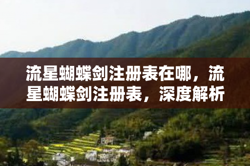流星蝴蝶剑注册表在哪图片