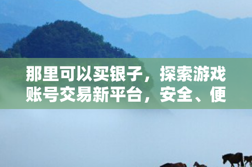 那里可以买银子，探索游戏账号交易新平台，安全、便捷、低价购买心仪账号
