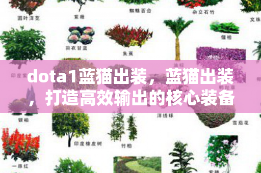 dota1蓝猫出装,蓝猫出装,打造高效输出的核心装备选择 dota1蓝猫出装,蓝猫出装,打造高效输出的核心装备选择