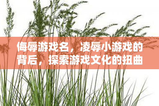 侮辱游戏名,凌辱小游戏的背后,探索游戏文化的扭曲与反思 侮辱游戏名,凌辱小游戏的背后,探索游戏文化的扭曲与反思