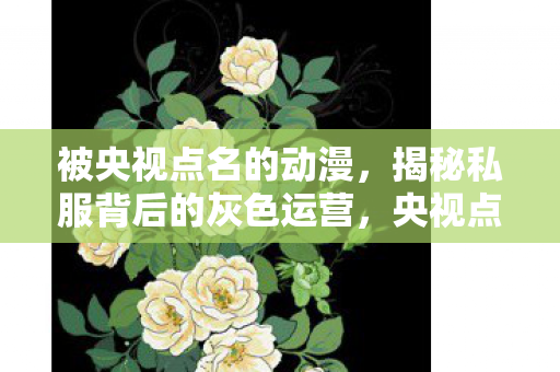 被央视点名的动漫,揭秘私服背后的灰色运营,央视点名下的隐秘世界 被央视点名的动漫,揭秘私服背后的灰色运营,央视点名下的隐秘世界