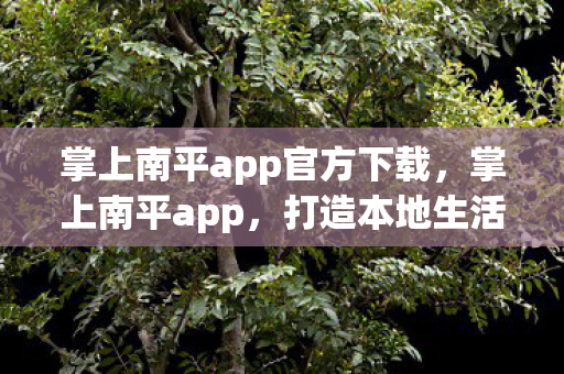 掌上南平app官方下载,掌上南平app,打造本地生活新体验 掌上南平app官方下载,掌上南平app,打造本地生活新体验