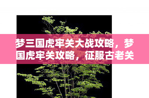 梦三国虎牢关大战攻略,梦国虎牢关攻略,征服古老关隘的必胜指南 梦三国虎牢关大战攻略,梦国虎牢关攻略,征服古老关隘的必胜指南