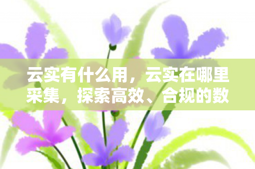 云实有什么用,云实在哪里采集,探索高效、合规的数据获取途径 云实有什么用,云实在哪里采集,探索高效、合规的数据获取途径