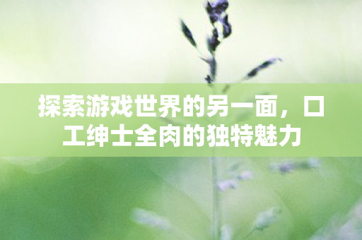 探索游戏世界的另一面，口工绅士全肉的独特魅力