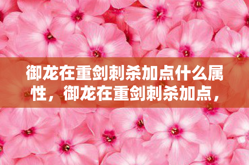 御龙在重剑刺杀加点什么属性，御龙在重剑刺杀加点，打造高效战斗力的关键