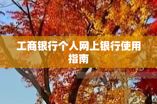 工商银行个人网上银行使用指南 工商银行个人网上银行使用指南