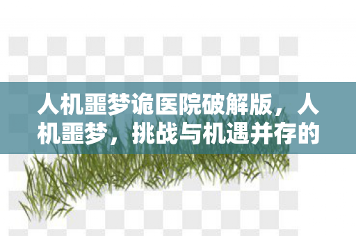 人机噩梦诡医院破解版,人机噩梦,挑战与机遇并存的未来 人机噩梦诡医院破解版,人机噩梦,挑战与机遇并存的未来
