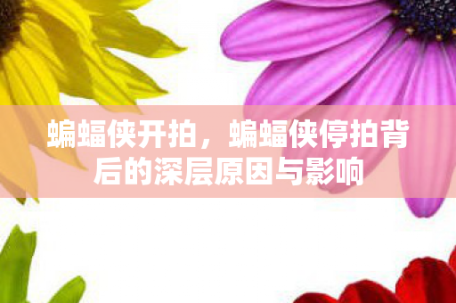 蝙蝠侠开拍,蝙蝠侠停拍背后的深层原因与影响 蝙蝠侠开拍,蝙蝠侠停拍背后的深层原因与影响