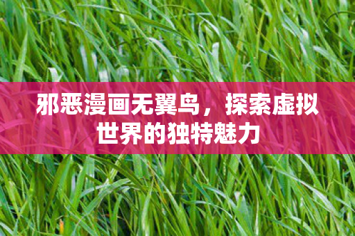 邪恶漫画无翼鸟，探索虚拟世界的独特魅力