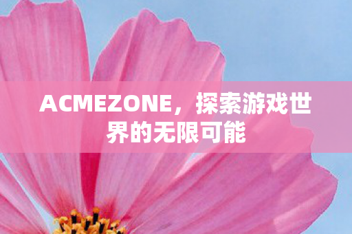 ACMEZONE，探索游戏世界的无限可能
