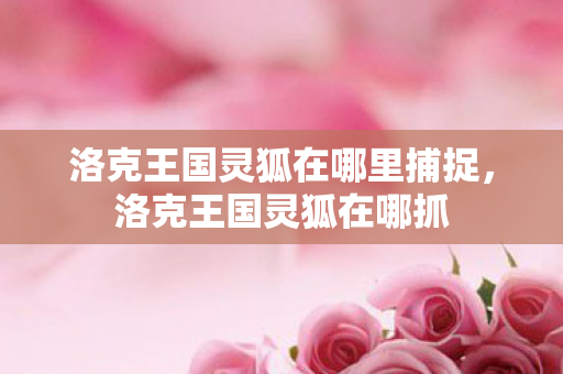 洛克王国灵狐在哪里捕捉，洛克王国灵狐在哪抓