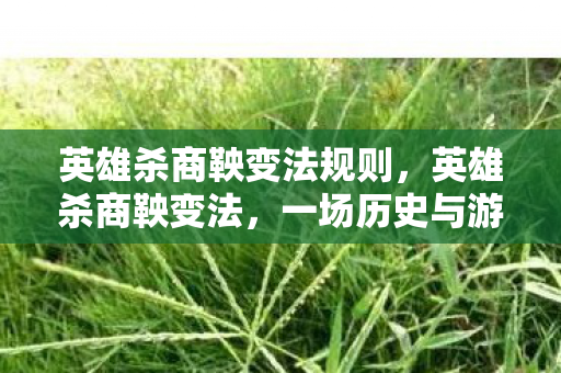 英雄杀商鞅变法规则,英雄杀商鞅变法,一场历史与游戏的交融 英雄杀商鞅变法规则,英雄杀商鞅变法,一场历史与游戏的交融