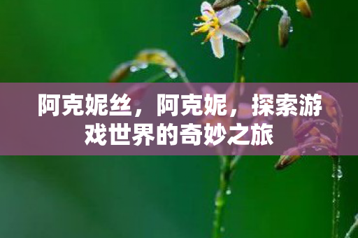 阿克妮丝,阿克妮,探索游戏世界的奇妙之旅 阿克妮丝,阿克妮,探索游戏世界的奇妙之旅