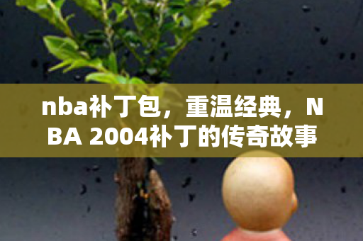 nba补丁包,重温经典,NBA 2004补丁的传奇故事 nba补丁包,重温经典,NBA 2004补丁的传奇故事