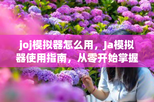 joj模拟器怎么用,Ja模拟器使用指南,从零开始掌握模拟器操作 joj模拟器怎么用,Ja模拟器使用指南,从零开始掌握模拟器操作