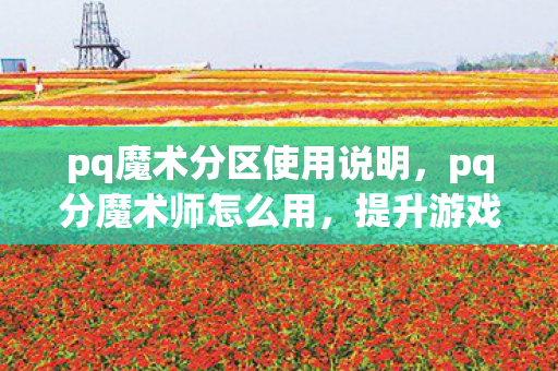 pq魔术分区使用说明,pq分魔术师怎么用,提升游戏乐趣的实用技巧 pq魔术分区使用说明,pq分魔术师怎么用,提升游戏乐趣的实用技巧