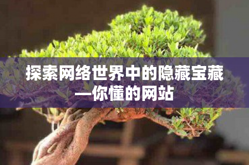 探索网络世界中的隐藏宝藏—你懂的网站 探索网络世界中的隐藏宝藏—你懂的网站