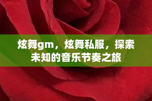 炫舞gm,炫舞私服,探索未知的音乐节奏之旅 炫舞gm,炫舞私服,探索未知的音乐节奏之旅