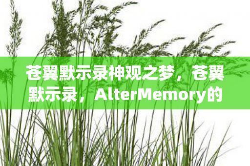 苍翼默示录神观之梦，苍翼默示录，AlterMemory的深层探索