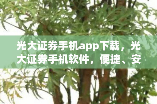 光大证券手机app下载,光大证券手机软件,便捷、安全、高效的移动理财工具 光大证券手机app下载,光大证券手机软件,便捷、安全、高效的移动理财工具