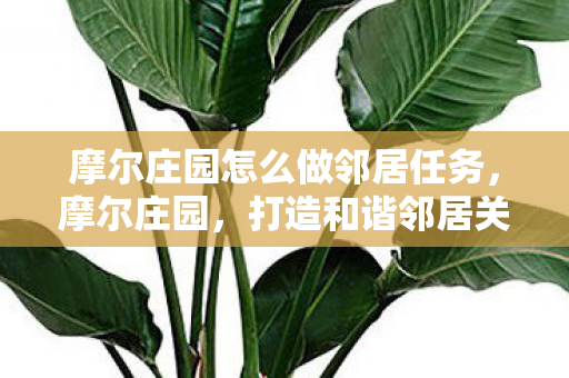 摩尔庄园怎么做邻居任务,摩尔庄园,打造和谐邻居关系的秘诀 摩尔庄园怎么做邻居任务,摩尔庄园,打造和谐邻居关系的秘诀