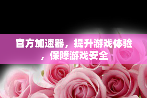 官方加速器,提升游戏体验,保障游戏安全 官方加速器,提升游戏体验,保障游戏安全